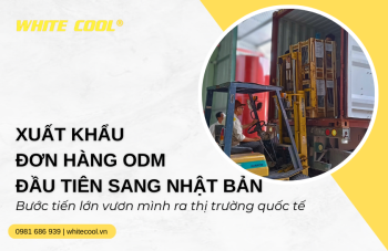 XUẤT KHẨU ĐƠN HÀNG ODM ĐẦU TIÊN SANG NHẬT BẢN: CÔNG TY MINH DŨNG ĐẠT BƯỚC TIẾN LỚN