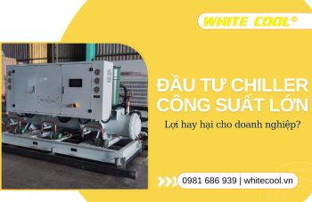 ĐẦU TƯ CHILLER CÔNG SUẤT LỚN: LỢI HAY HẠI CHO DOANH NGHIỆP?