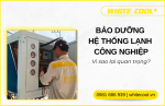 BẢO DƯỠNG HỆ THỐNG LẠNH CÔNG NGHIỆP CUỐI NĂM: VÌ SAO LẠI QUAN TRỌNG?
