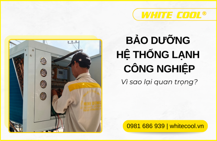 BẢO DƯỠNG HỆ THỐNG LẠNH CÔNG NGHIỆP CUỐI NĂM: VÌ SAO LẠI QUAN TRỌNG?