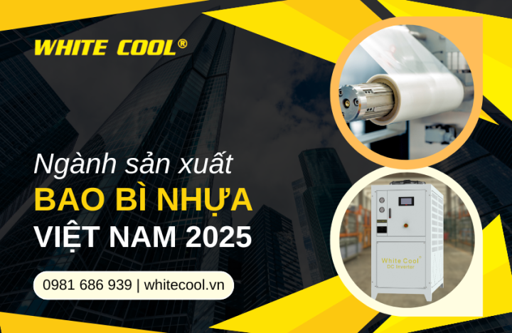 NGÀNH SẢN XUẤT BAO BÌ NHỰA VIỆT NAM 2025 TĂNG TRƯỞNG VÀ NHU CẦU LÀM MÁT HIỆU QUẢ
