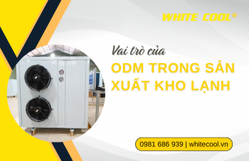 VAI TRÒ CỦA ODM TRONG SẢN XUẤT KHO LẠNH