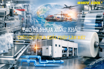 EXPORT PLASTIC PACKAGING: STANDARDS AND COOLING SOLUTIONS