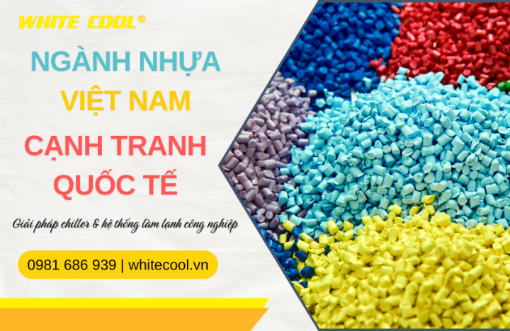 NGÀNH NHỰA VIỆT NAM - NÂNG CAO NĂNG LỰC CẠNH TRANH QUỐC TẾ